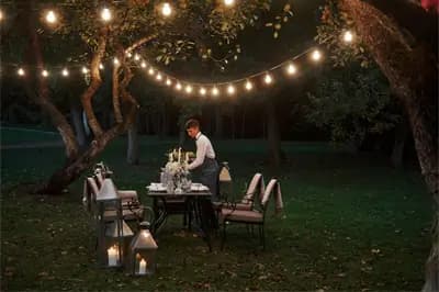Party Lawn