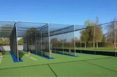 Cricket